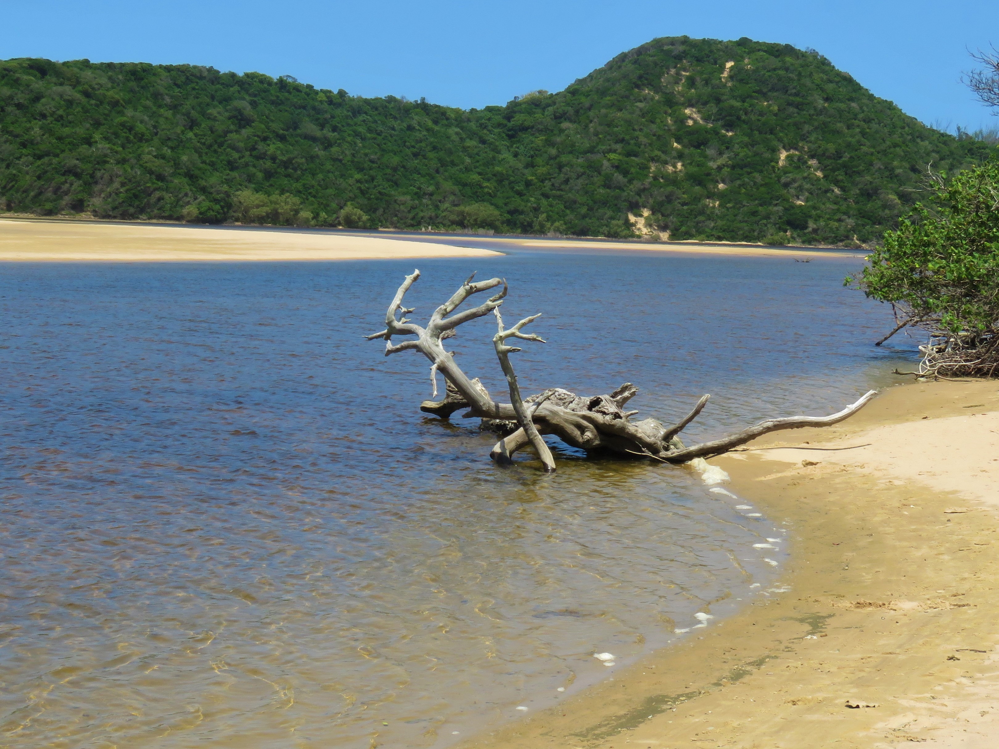 Kosi Bay Beach Swimming & Picnics