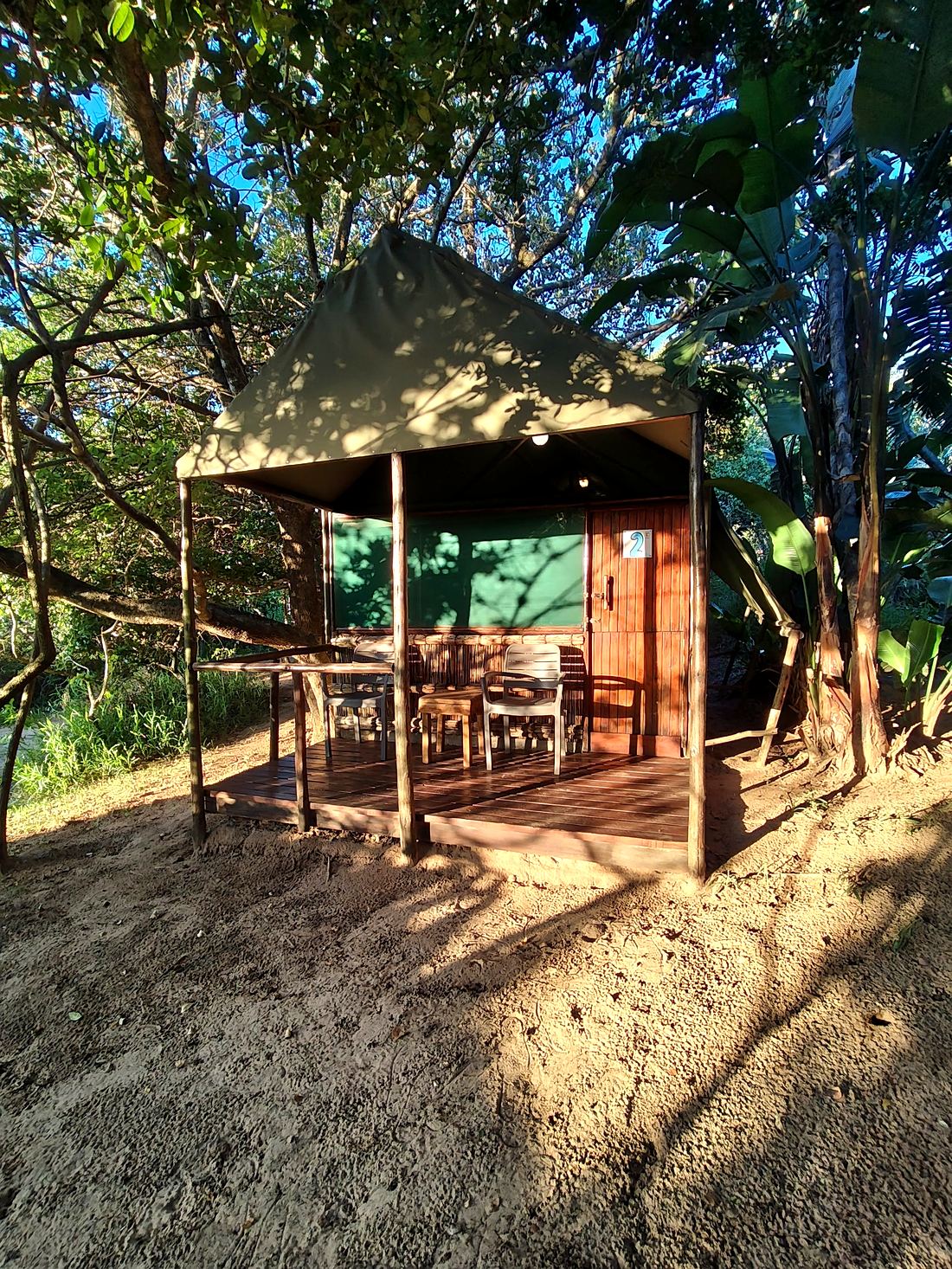 Tent at golden hour under the trees