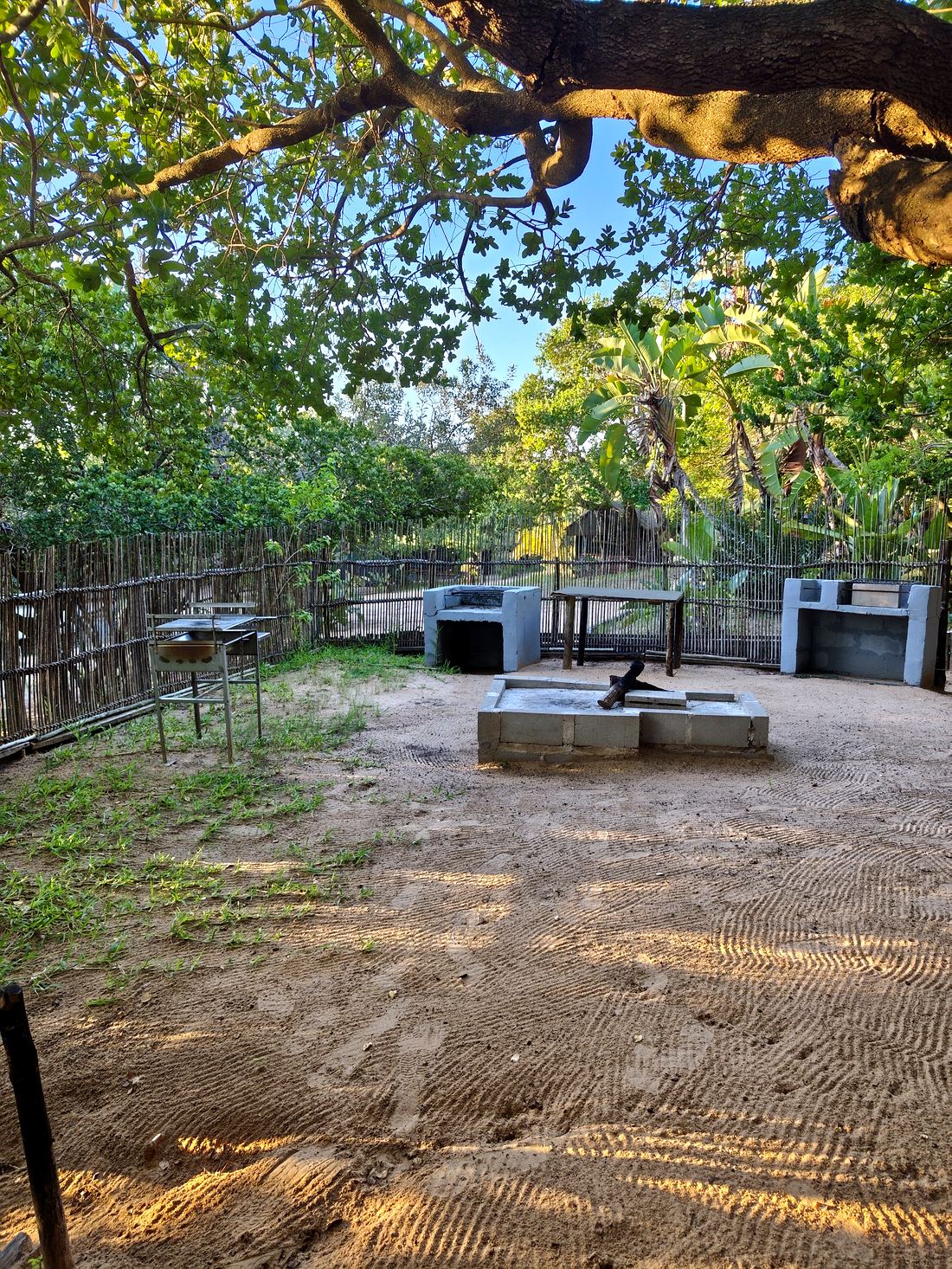 Braai & boma area under the Waterberry trees