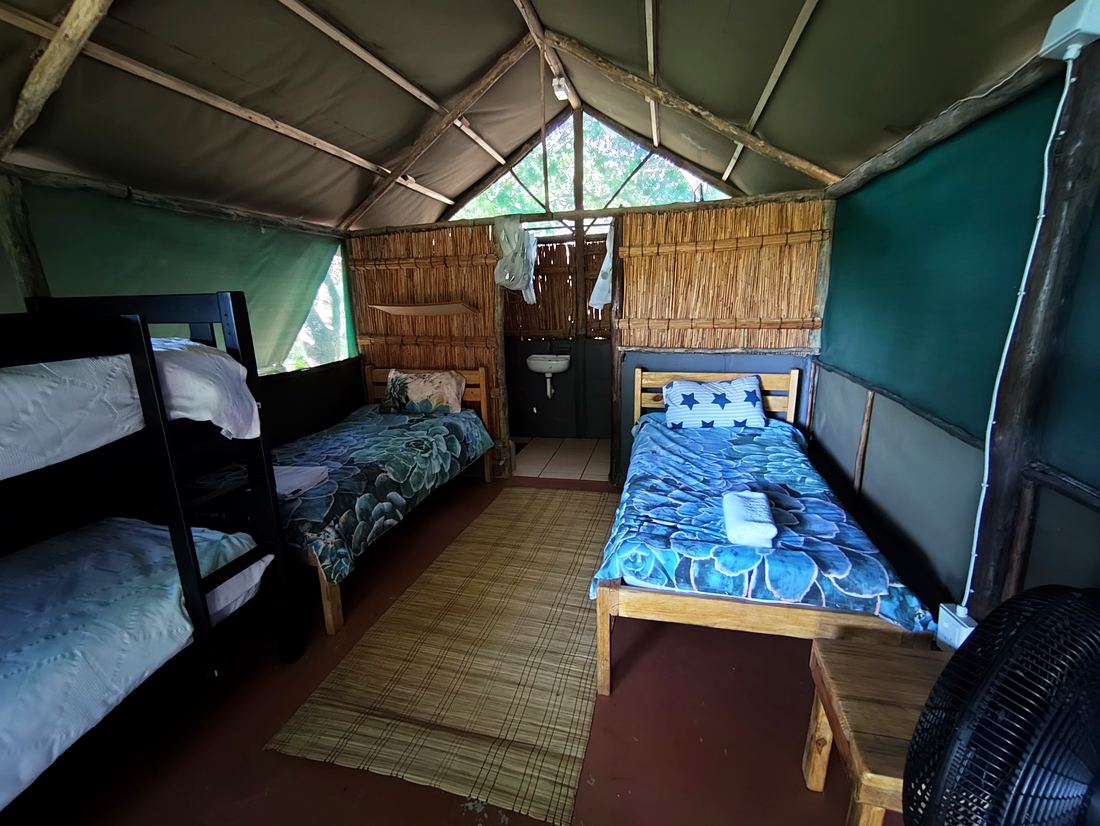 Family unit with bunk beds