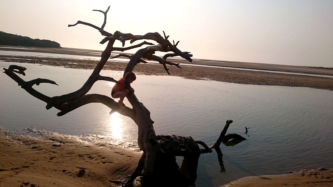 Climbing the driftwood at Kosi Mouth beach