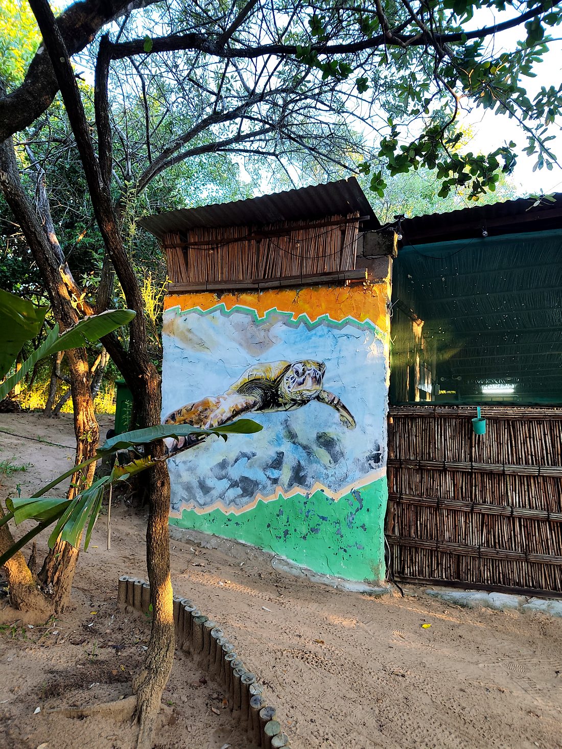 Turtle mural at the camp entrance